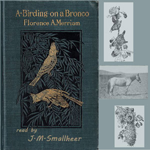 A-Birding on a Bronco cover