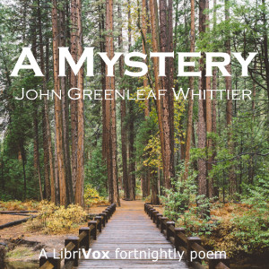 Mystery cover