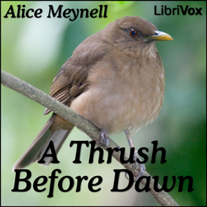 Thrush Before Dawn cover