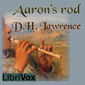 Aaron's Rod cover