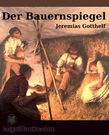 Der Bauernspiegel cover