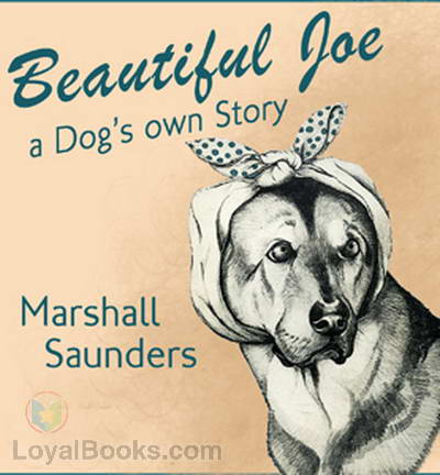 Beautiful Joe cover