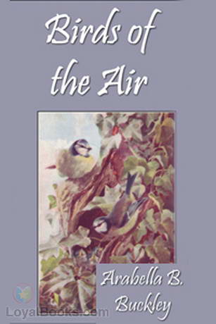 Birds of the Air cover