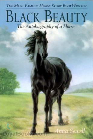 Black Beauty cover