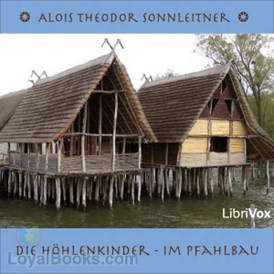 Die Höhlenkinder - Im Pfahlbau cover