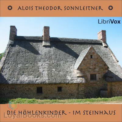 Die Höhlenkinder - Im Steinhaus cover