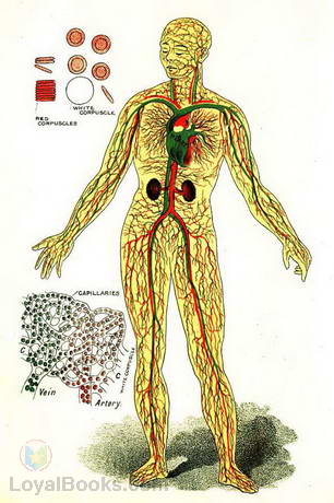 Physiology and Hygiene cover