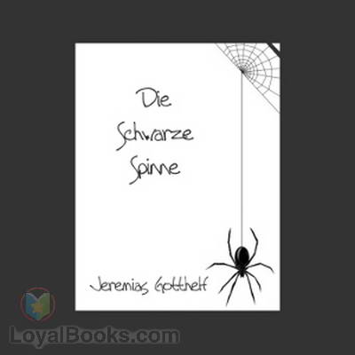 Die schwarze Spinne cover