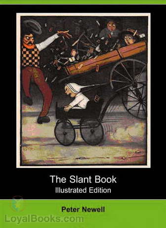 The Slant Book cover