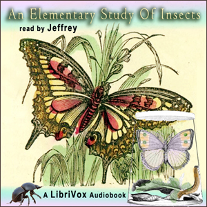 Elementary Study of Insects cover