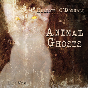 Animal Ghosts cover