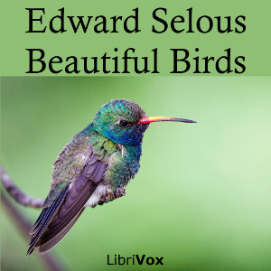 Beautiful Birds cover