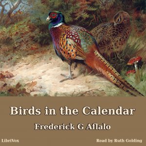 Birds in the Calendar cover