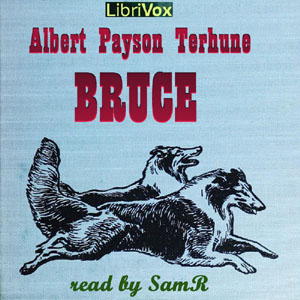 Bruce cover