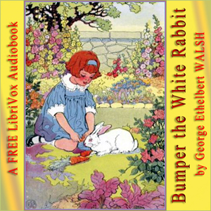 Bumper the White Rabbit cover