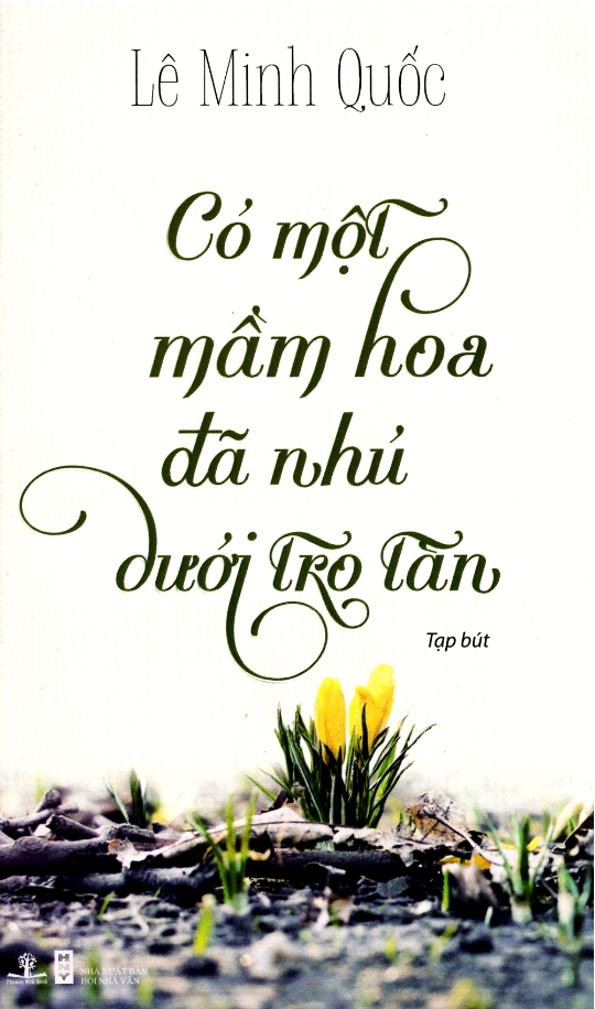 Có Một Mầm Hoa Đã Nhú Dưới Tro Tàn