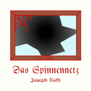 Spinnennetz cover