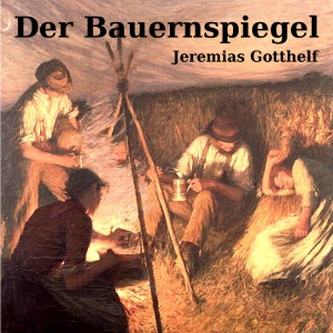 Bauernspiegel cover