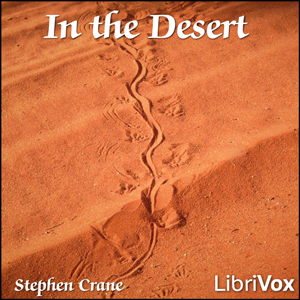 In the Desert cover