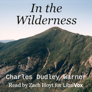 In the Wilderness cover