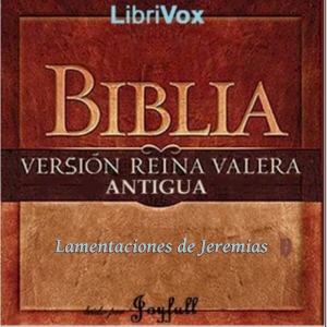 Bible (Reina Valera) 25: Lamentaciones de Jeremías cover