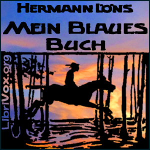 Mein blaues Buch cover