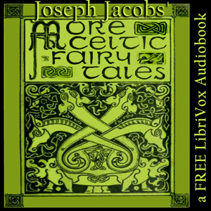 More Celtic Fairy Tales cover