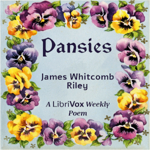 Pansies cover