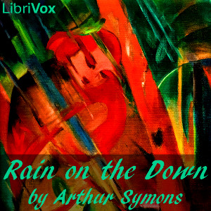 Rain On The Down cover