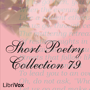 Short Poetry Collection 079 image
