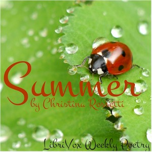 Summer cover