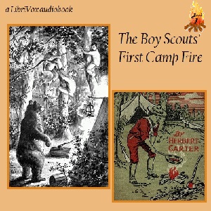 Boy Scouts First Camp Fire cover