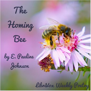 Homing Bee cover