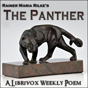 Panther cover