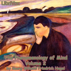 Phenomenology of Mind, Volume 2 cover