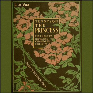 Princess cover