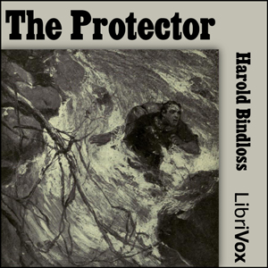 Protector cover