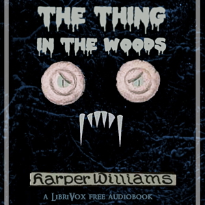 Thing in the Woods cover