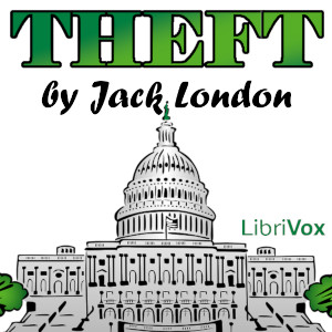 Theft cover