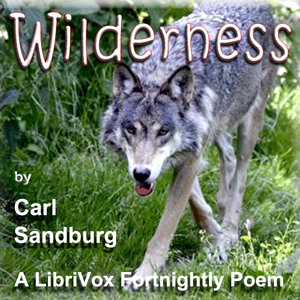 Wilderness cover