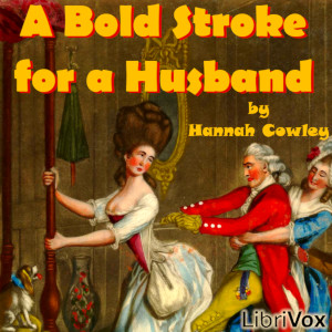 Bold Stroke for a Husband cover