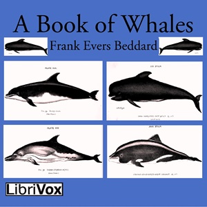 Book of Whales cover