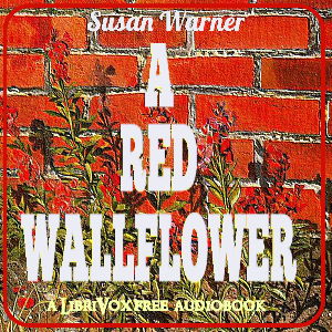 Red Wallflower cover