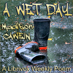 Wet Day cover