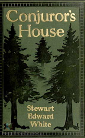 Conjuror's House, a Romance of the Free Forest cover