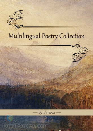 Multilingual Poetry Collection cover