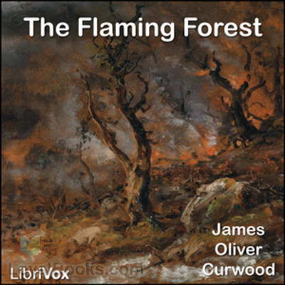 The Flaming Forest cover