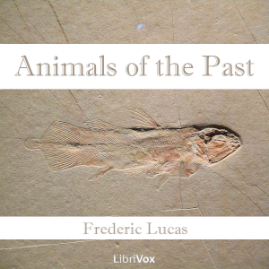 Animals of the Past cover