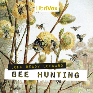 Bee Hunting cover