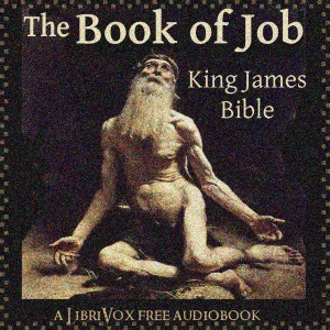 Bible (KJV) 18: Job (version 3) cover
